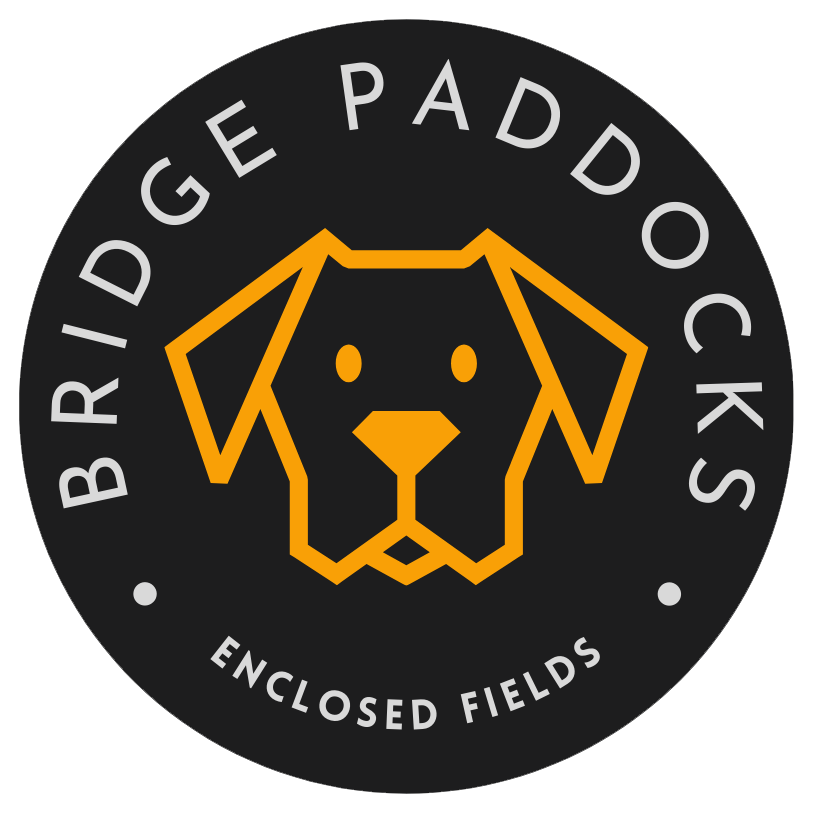 Bridge Paddocks